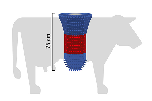Grafik zum Größenvergleich der Viehbürste HAPPYCOW FlexiSwing mit einer Kuh