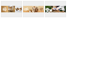 Beispielbild für Online-Banner Download MagicBrush Hund