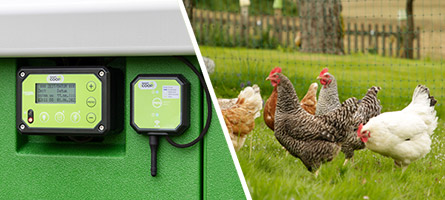 Stallautomation SmartCoop mit Hühnern auf einer Wiese