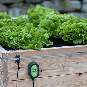 SnailStop elektrischer Schneckenschutzzaun installiert an einem Salat-Hochbeet