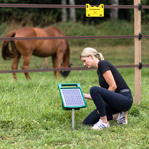 Eine Landwirtin überprüft ein  Solarpaneel für einen elektrischen Weidezaun um eine Pferdeweide