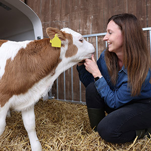 Eine Landwirtin kniet vor einem Kalb und streichelt es