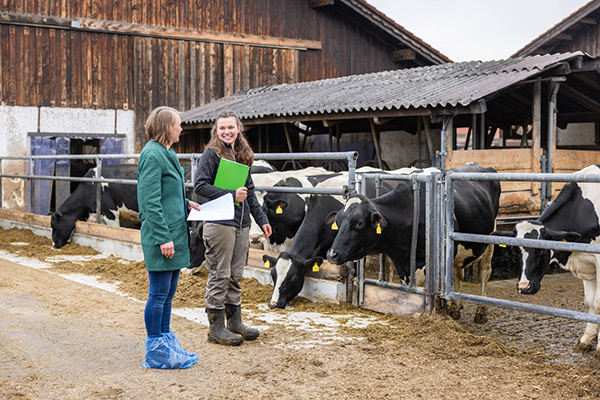 Zwei Landwirtinnen begehen einen Kuhstall mit Einmalschutzkleidung zur Hygiene