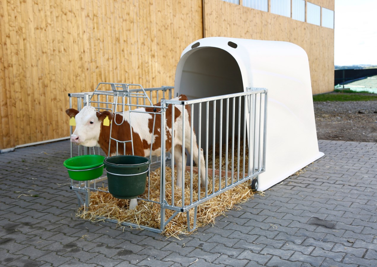 CalfHouse Premium Plus high quality mit leichter Umzäunung - Staffelpreise - i