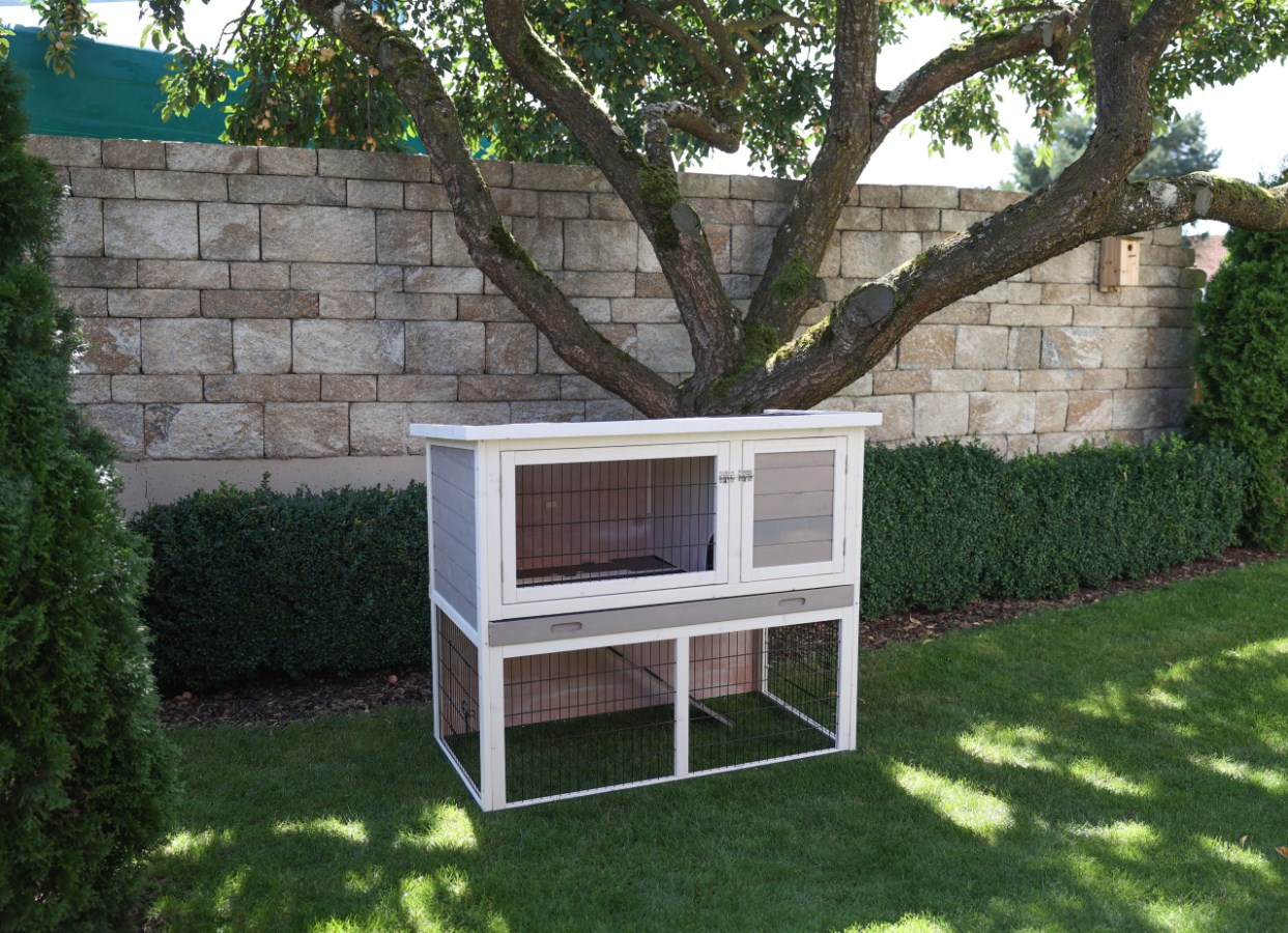 Shops roger xl rabbit hutch