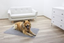 Anti-slip Thermal Carpet