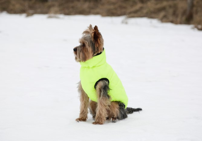 3 peaks dog on sale coat