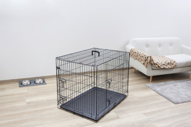 Cage pour chien de transport M noir 92 x 63 x 74 cm 2 portes Kerbl - Animal  Valley
