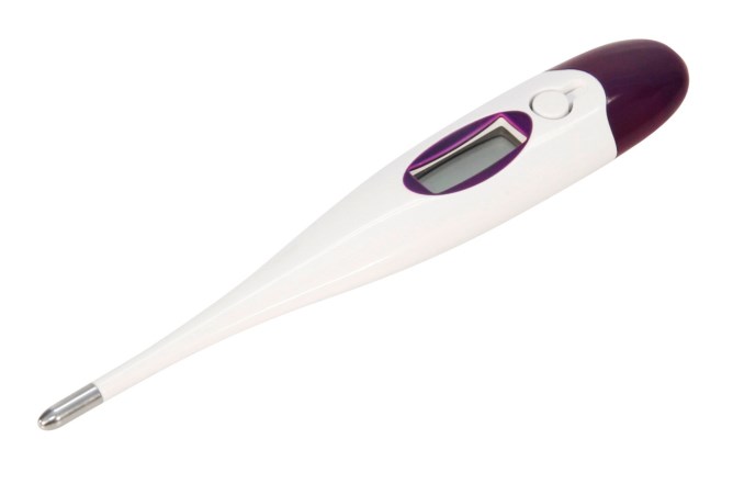 Milk/cheese thermometer Kerbl